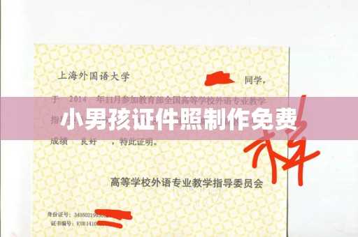 广州小男孩证件照制作免费