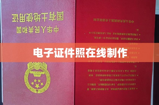广州电子证件照在线制作